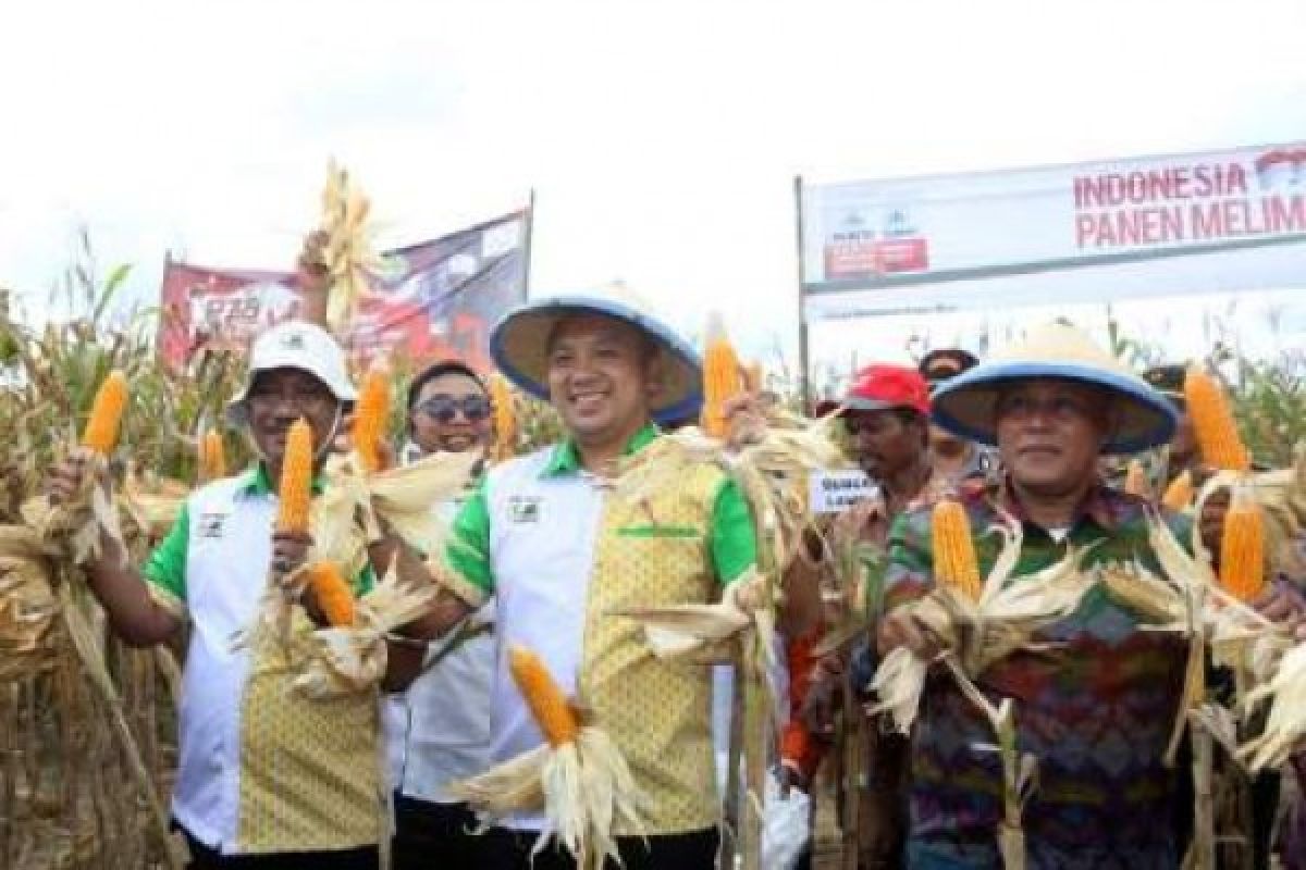 Ridho: Lampung Bumi Agribisnis dan Sentra Jagung Nasional