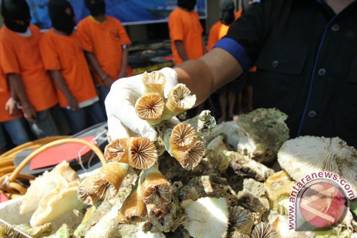 10 karung terumbu karang dari Pulau Sumbawa diamankan Polsek Kayangan