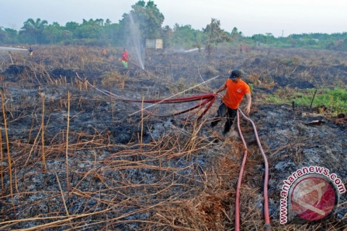 Kawasan hutan gambut Jambi tinggal 179.963 hektare