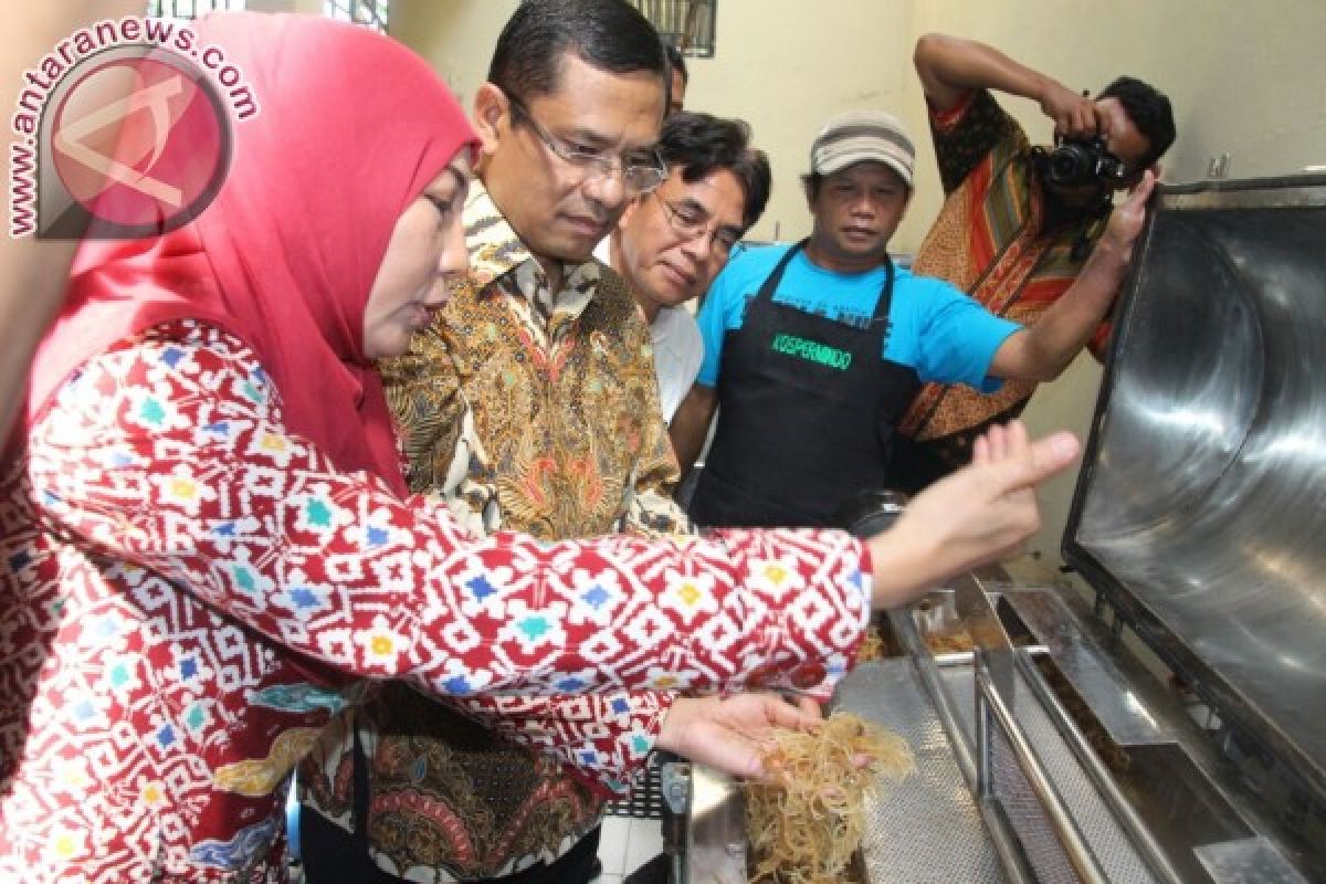 Hilirisasi rumput laut pacu produksi dan ekspor