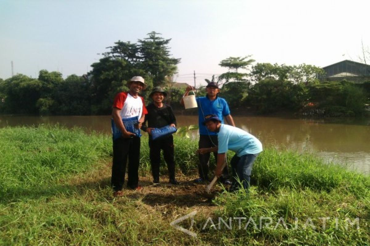 Garda Lingkungan-FJKB Hijaukan Bantaran Kali Surabaya