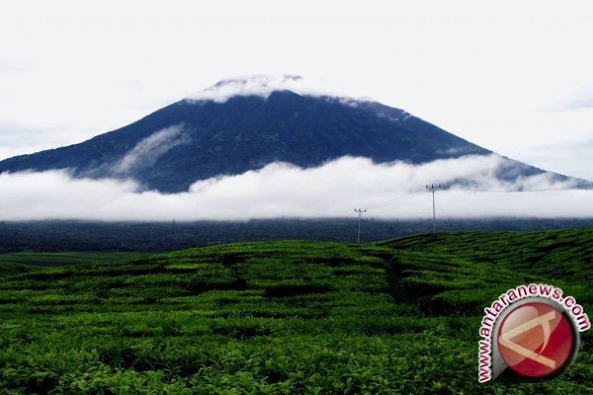 Petugas evakuasi pendaki Gunung Kerinci 