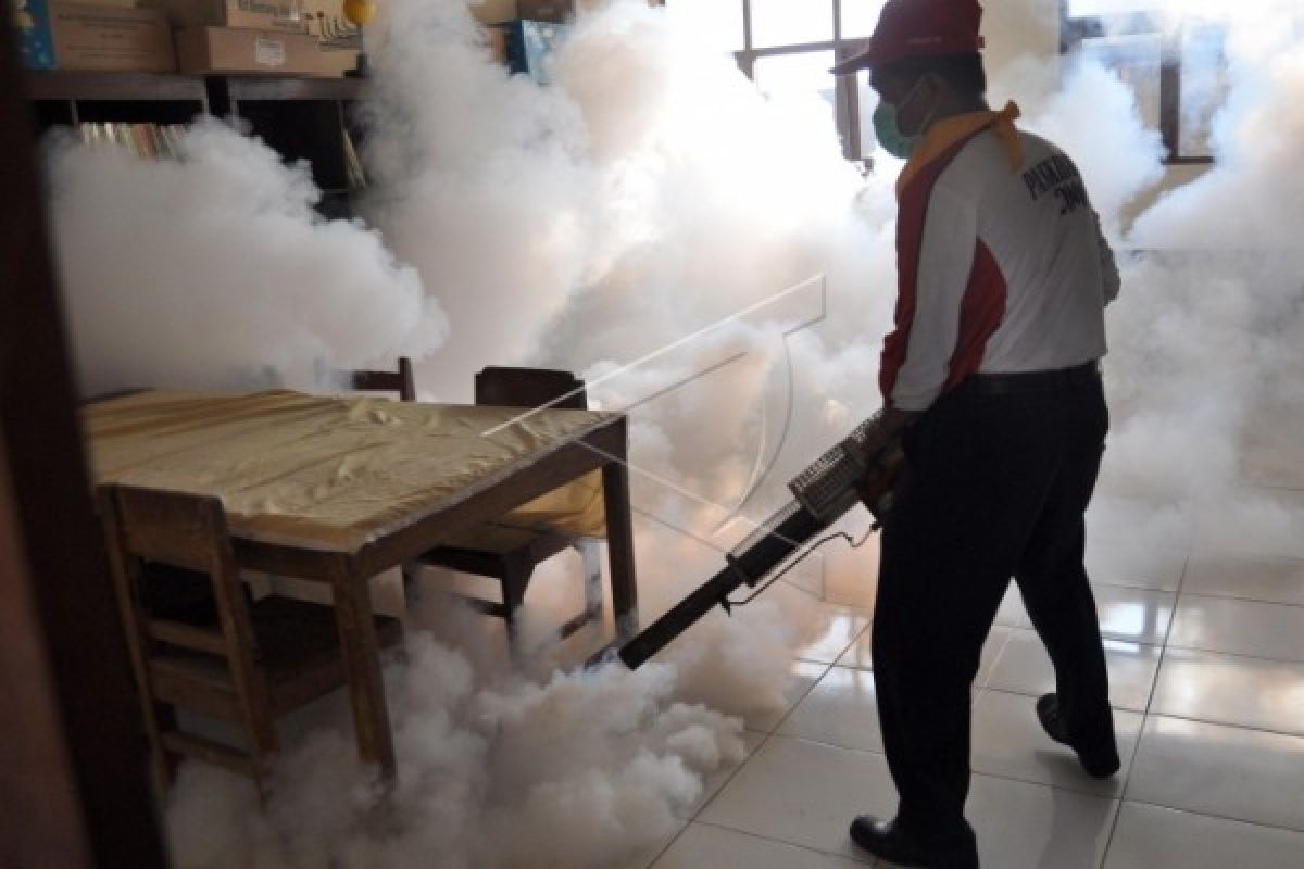 Dua Daerah di Temanggung KLB DBD
