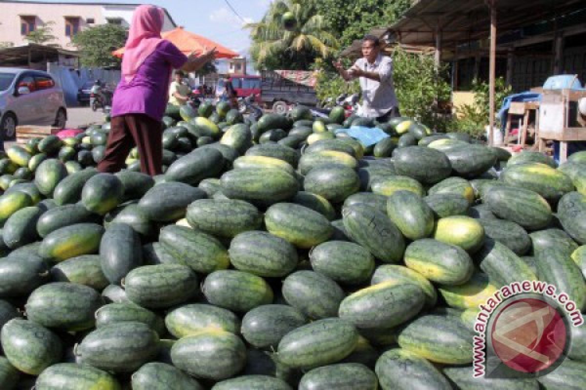 Buah Semangka Kebutuhan Ramadhan