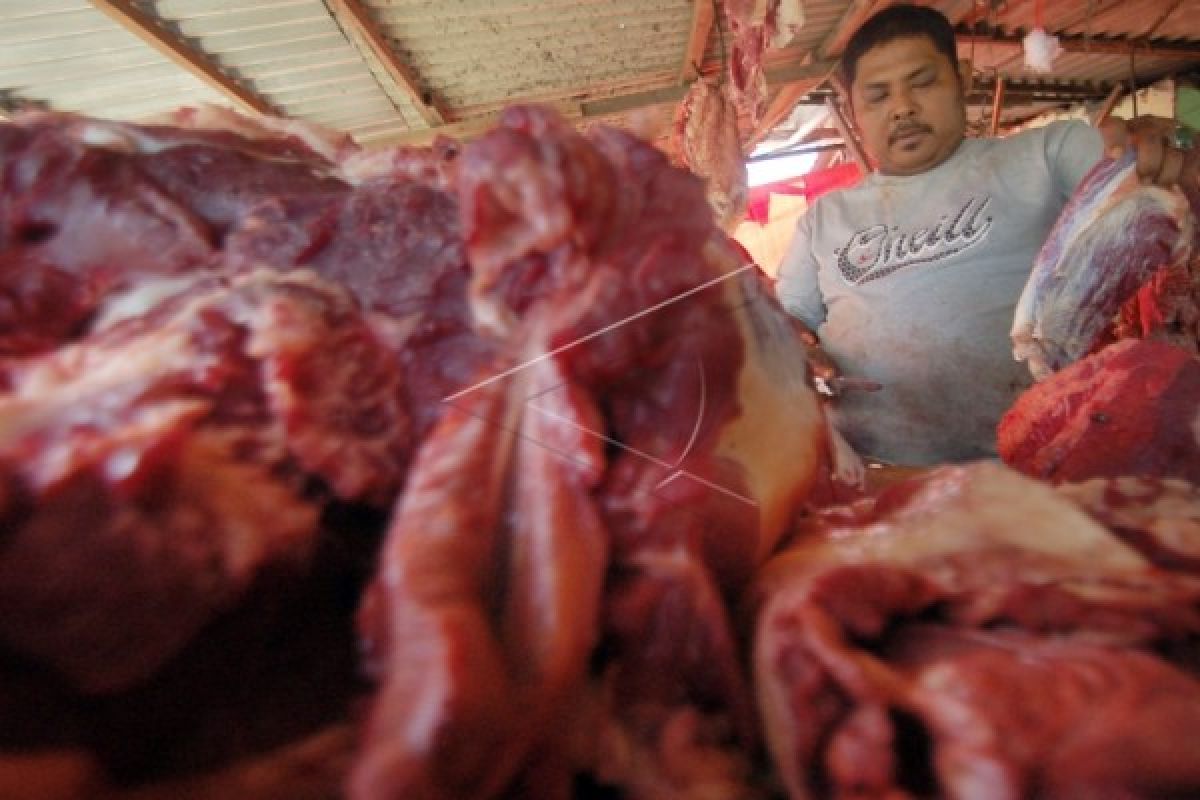 Kalbar Dapat Alokasi 15 Ton Daging Sapi