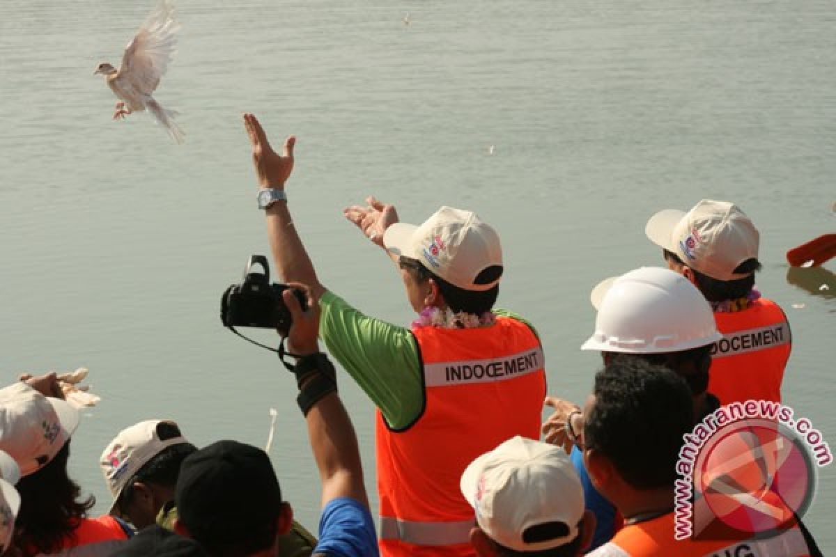 Burung Migrasi Dapat Terbang 10 Bulan Tanpa Mendarat