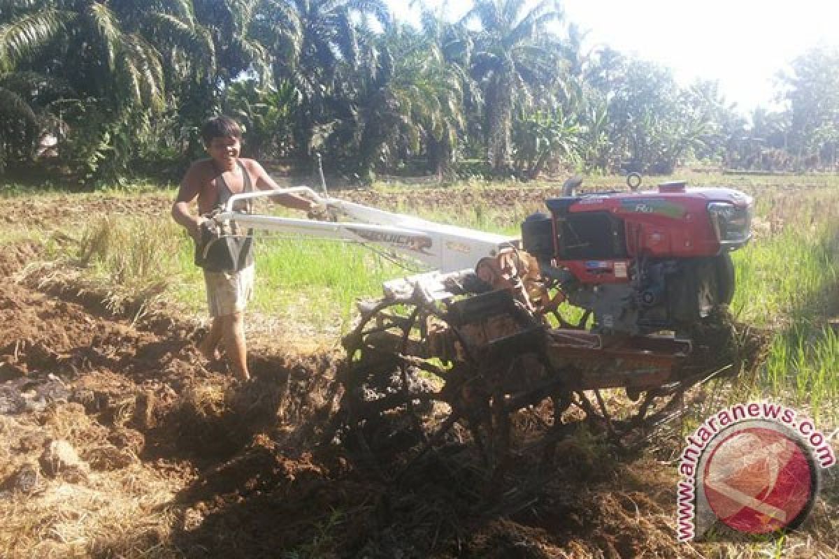 Mukomuko Salurkan Bantuan Alsintan Kepada Petani