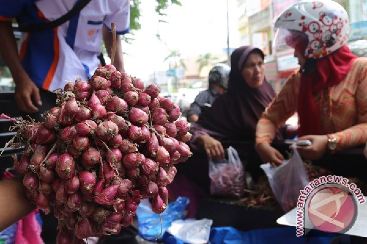 Harga bawang di pasar Aceh Barat naik
