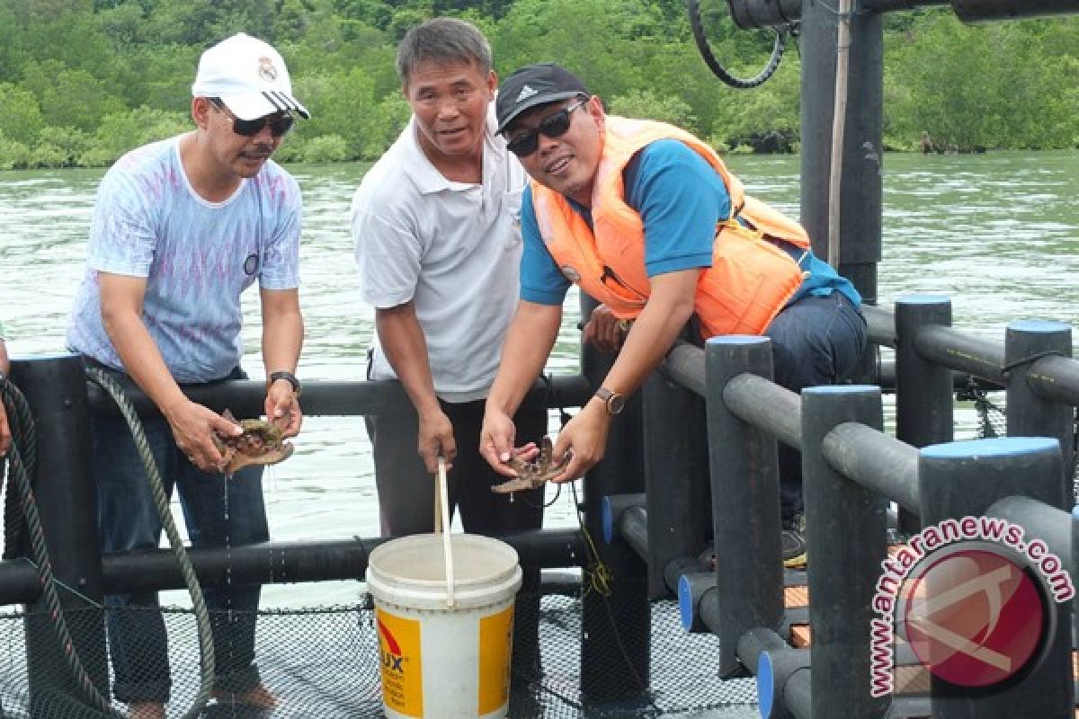 Undip-Stargold Kembangkan Karamba Ramah Lingkungan di Karimun