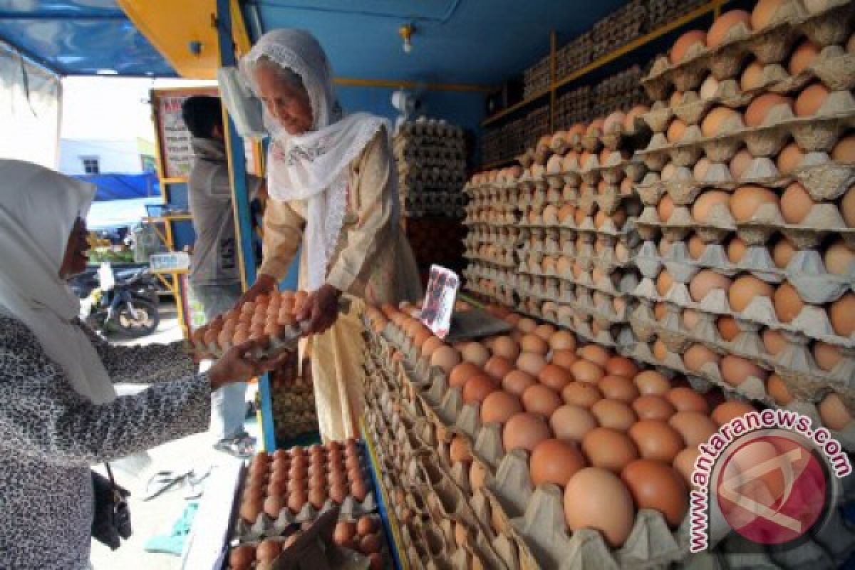 Harga telur di Aceh Barat berangsur turun