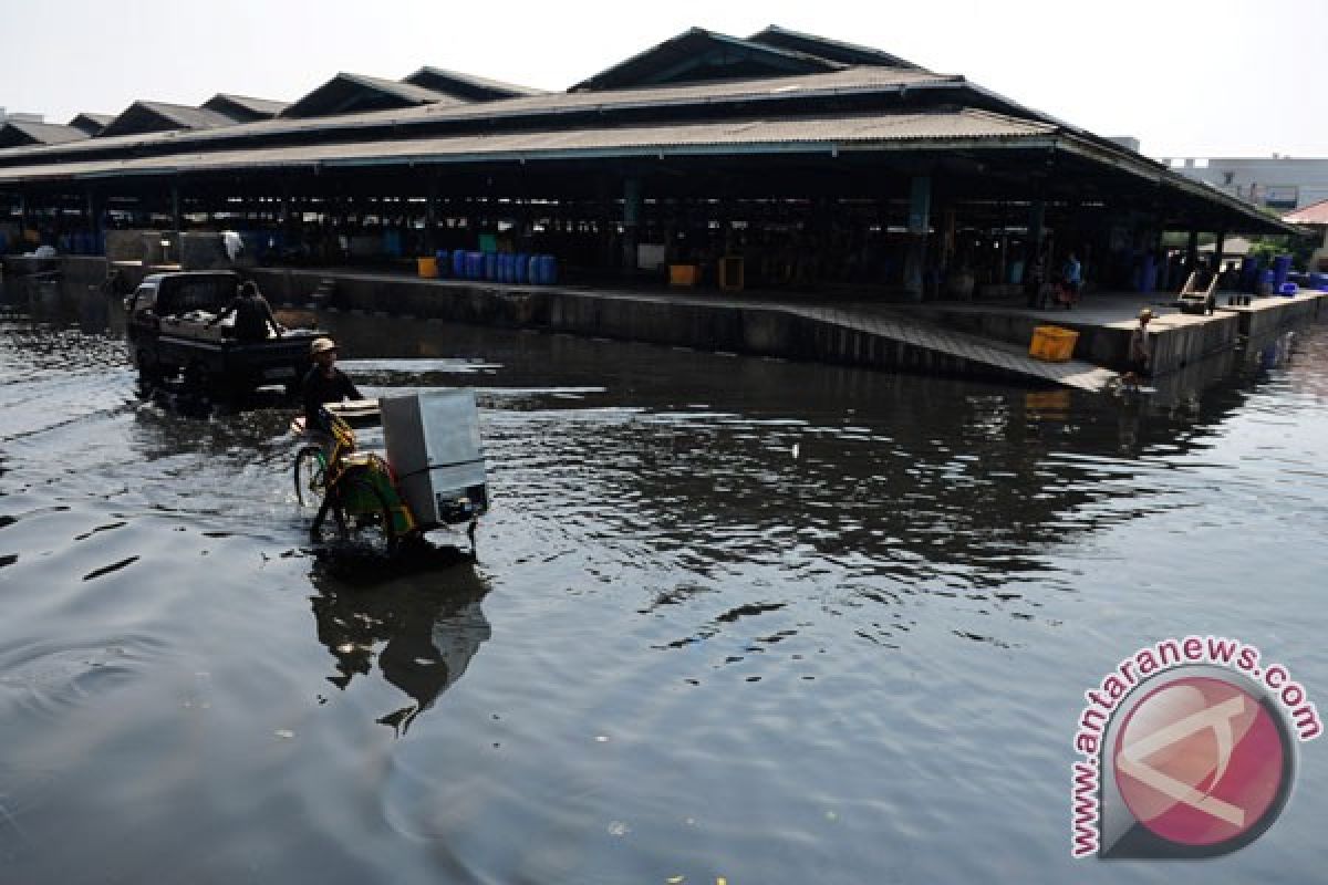 Banjir air pasang bukan akibat reklamasi, kata Ahok