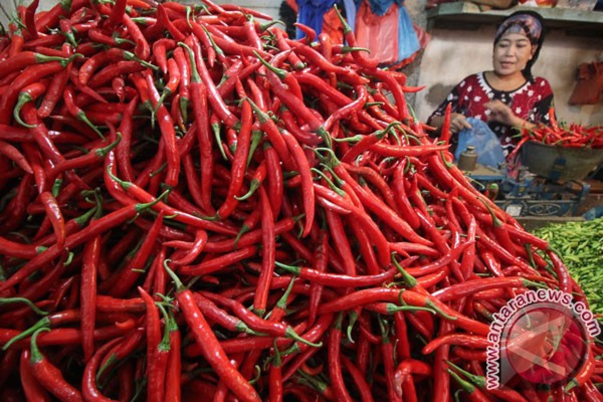 Cabai merah Rp80.000/kg di daerah ini