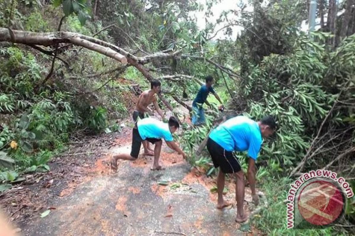 Banjir Bandang Landa Desa Menyumbung di Ketapang