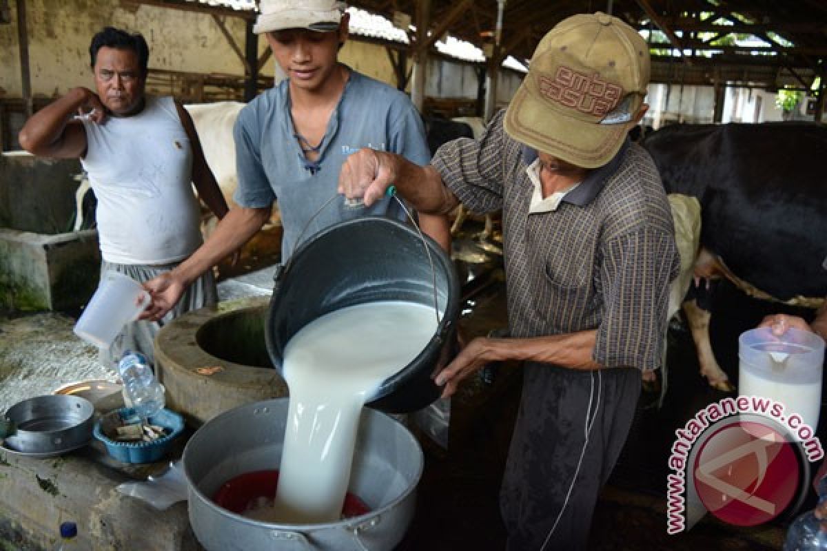 Kemenperin lakukan intervensi, dongkrak suplai bahan baku susu