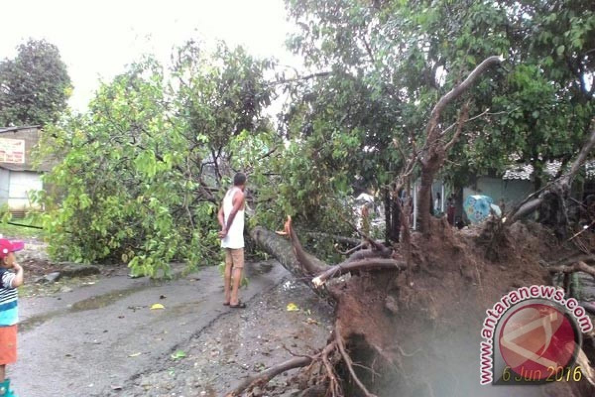 Angin Kencang Ancaman Bencana Tertinggi Kabupaten Bogor