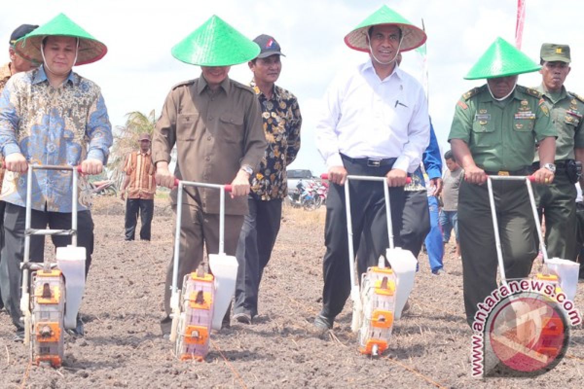 Mentan canangkan gerakan tanam jagung di Banyuasin 