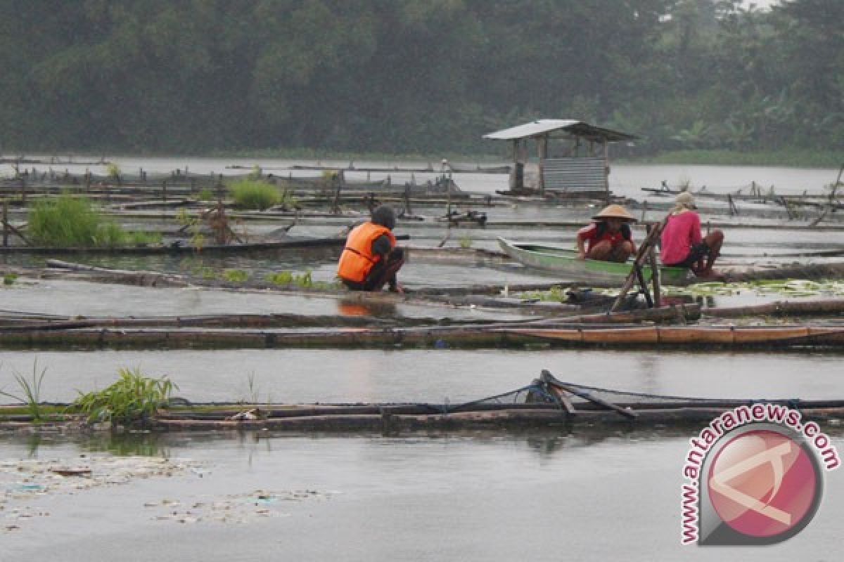 Ikan di Waduk Kedung Ombo banyak mati mendadak