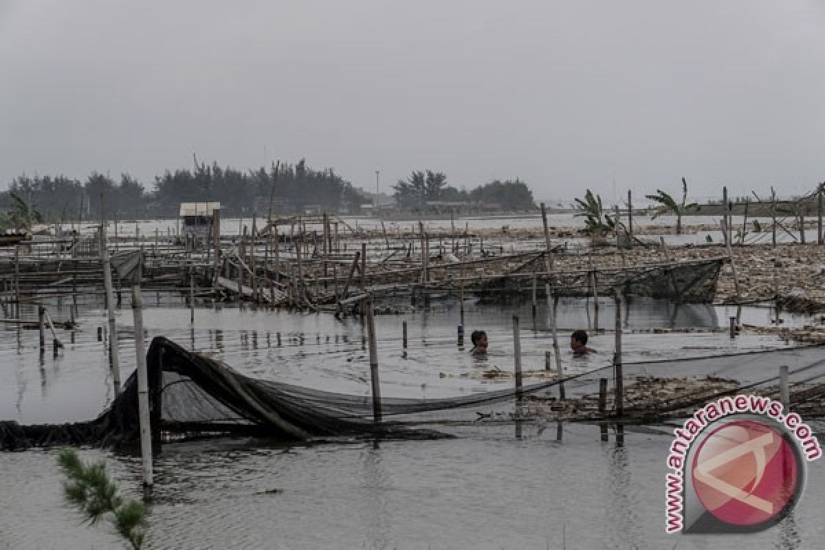 Petani tambak Sidoarjo tinggikan tanggul antisipasi rob