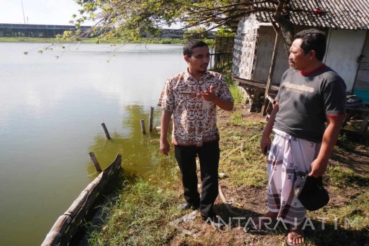 Sidoarjo Dorong Petambak Tebar Nila Saat Hujan