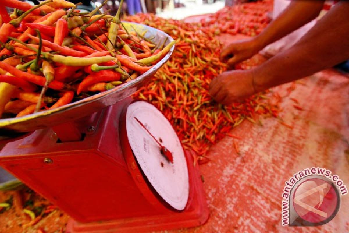 Harga cabai di Bengkulu turun dekati Lebaran