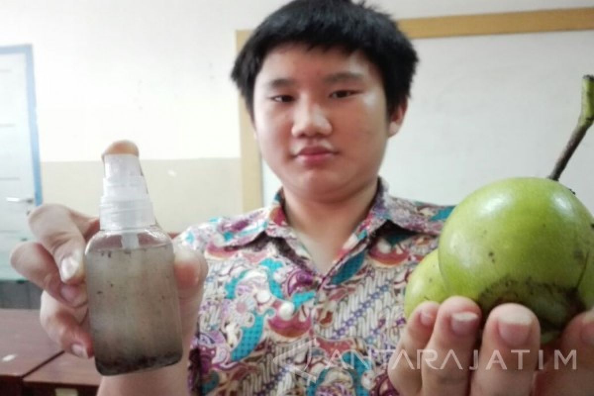 Siswa Surabaya Manfaatkan Buah Maja Bunuh Bakteri