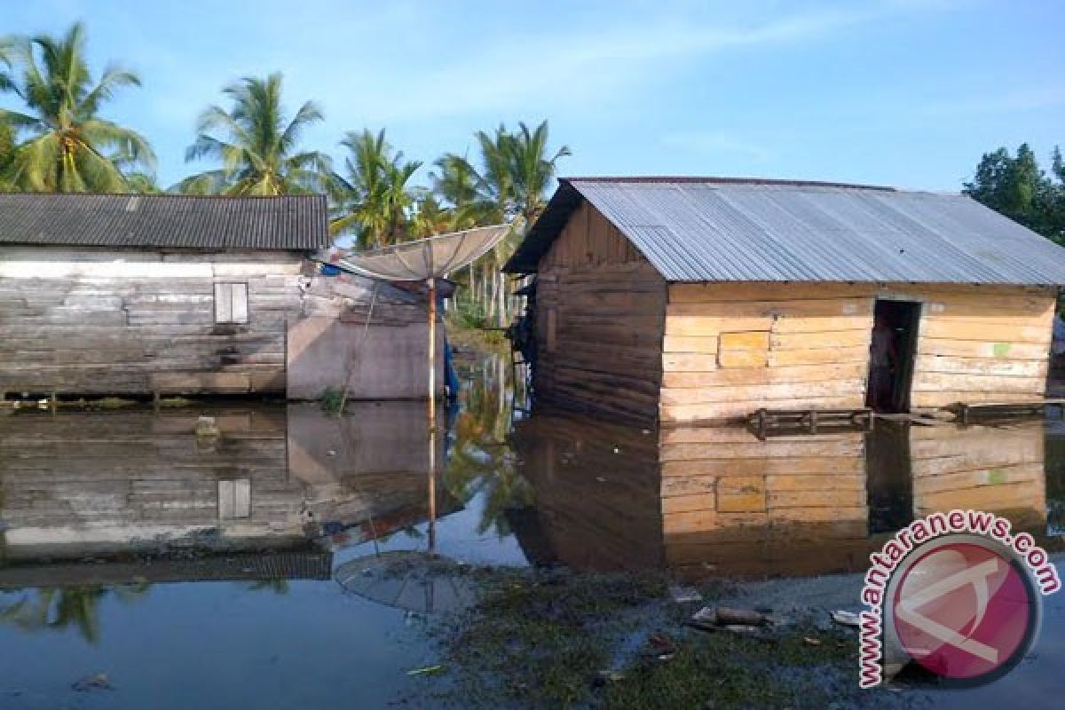 Puluhan rumah dan ratusan hektare sawah di Mukomuko terendam banjir