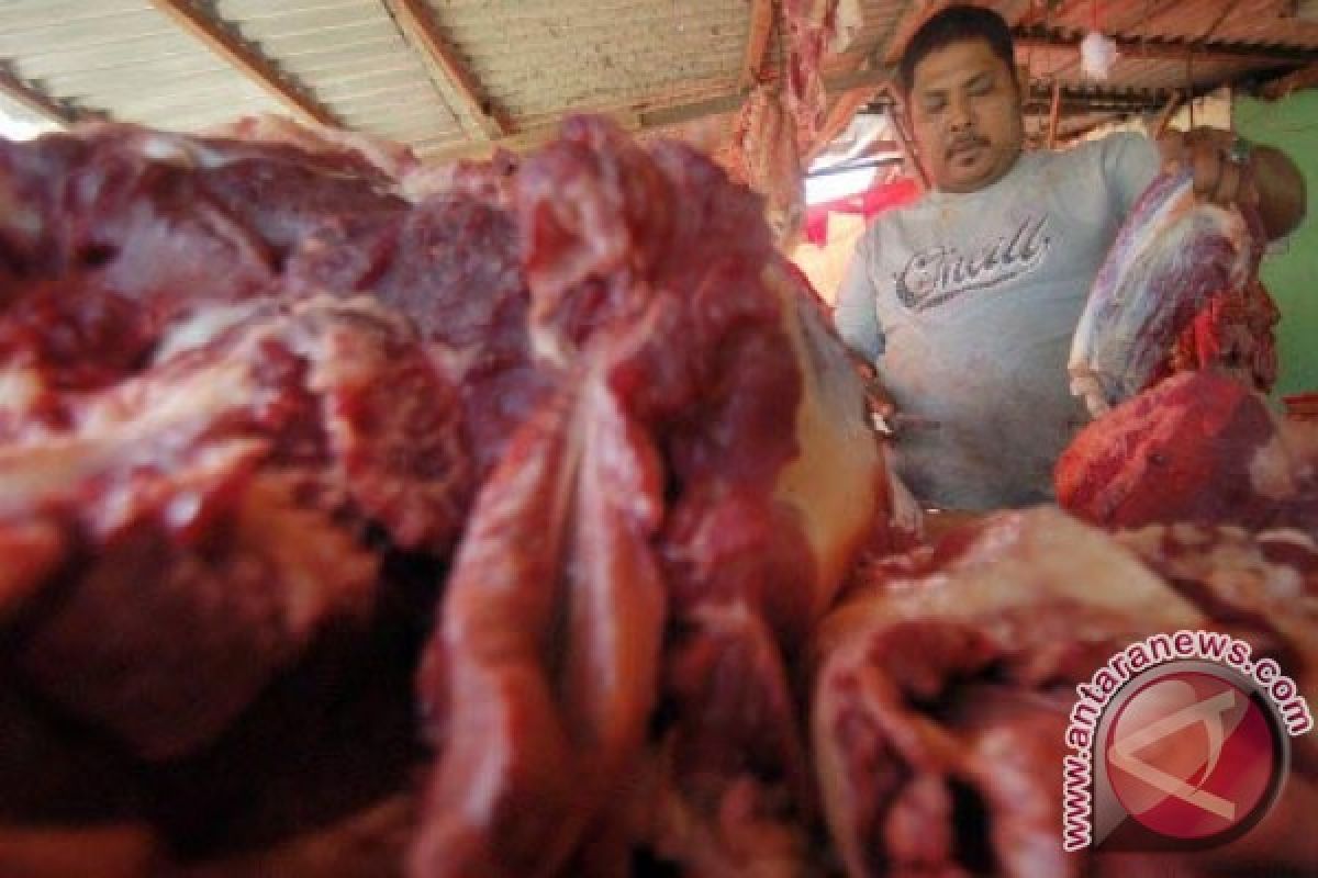 Masyarakat Diimbau Tidak Hanya Andalkan Daging Sapi