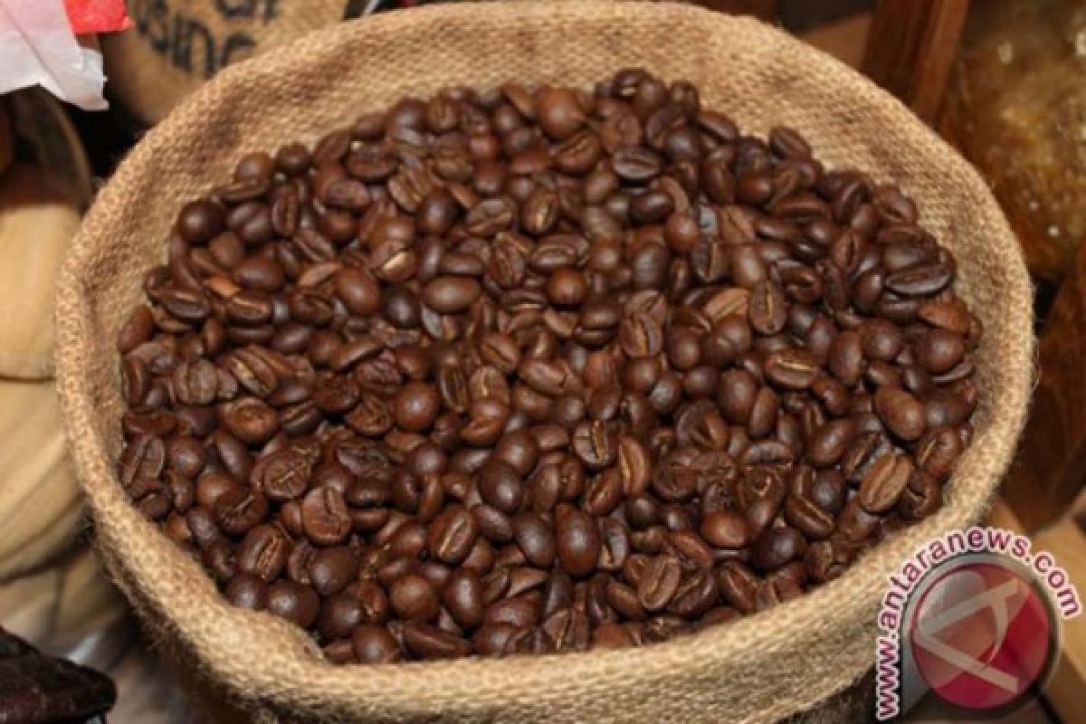 Pokdarwis Gunung Gambar tanam kopi robusta