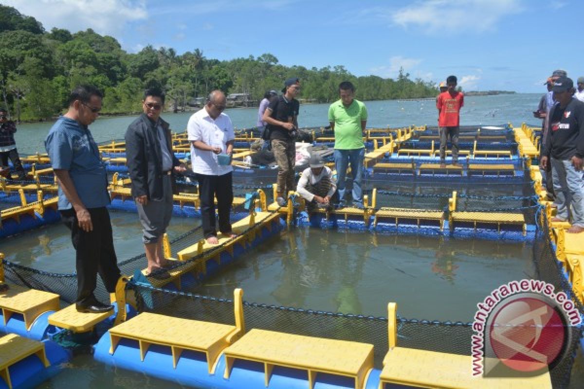 Gubernur Kagumi Pilot Project Keramba Apung