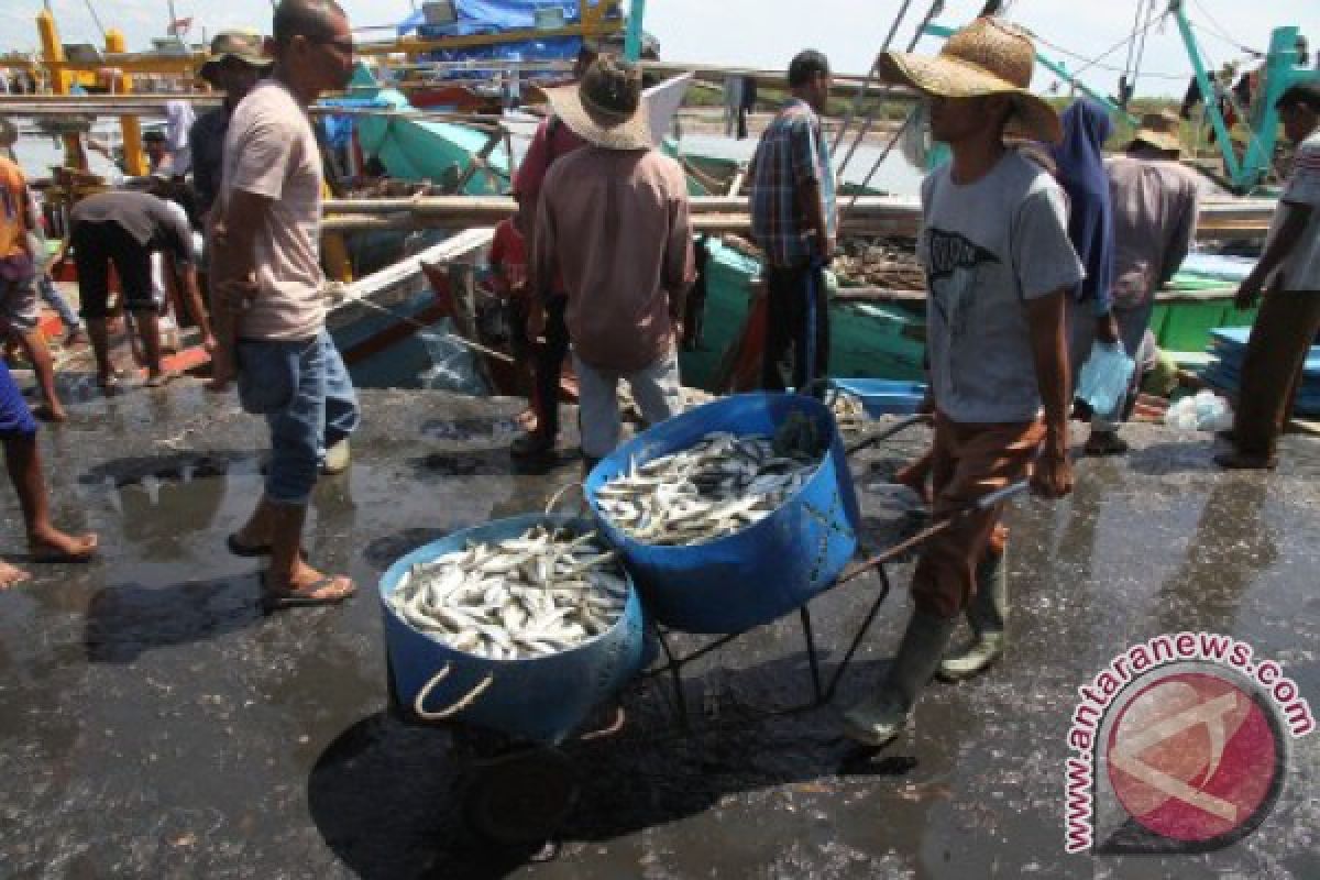 Tangkapan ikan nelayan Aceh Barat mulai membaik