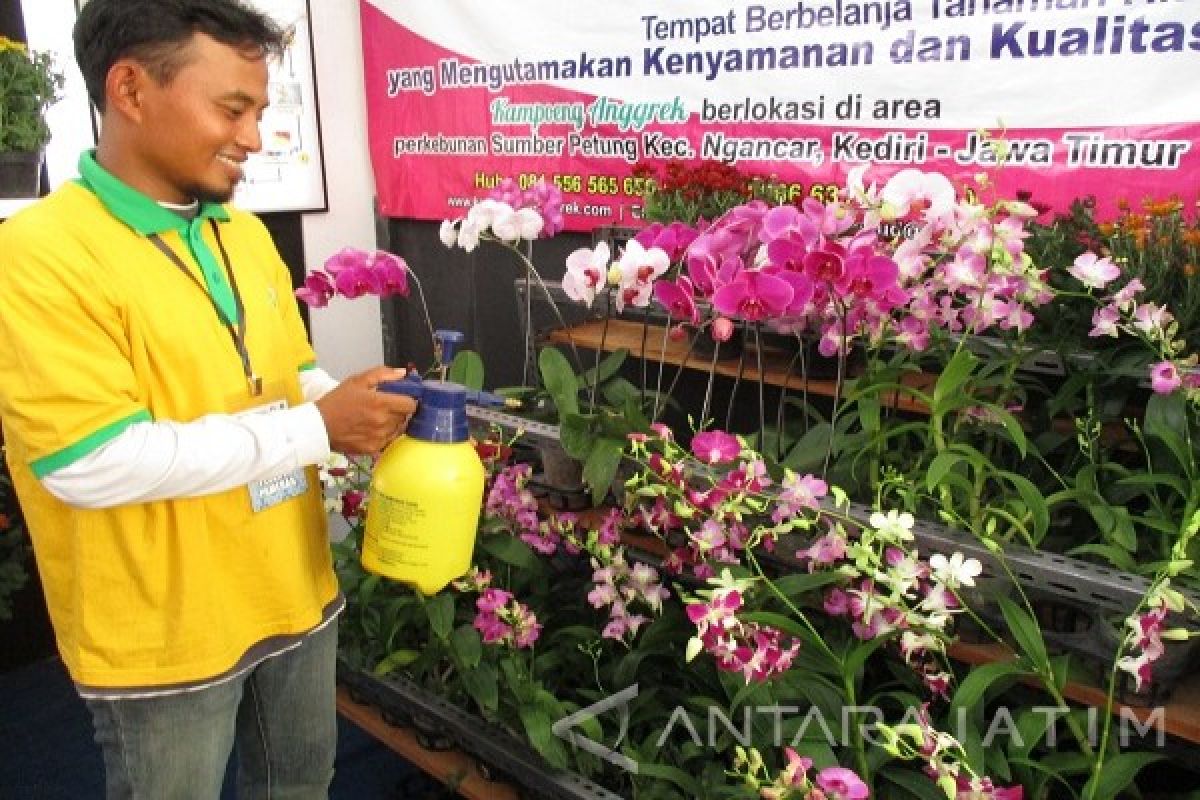 Ngabuburit Sembari Menikmati Kebun Anggrek