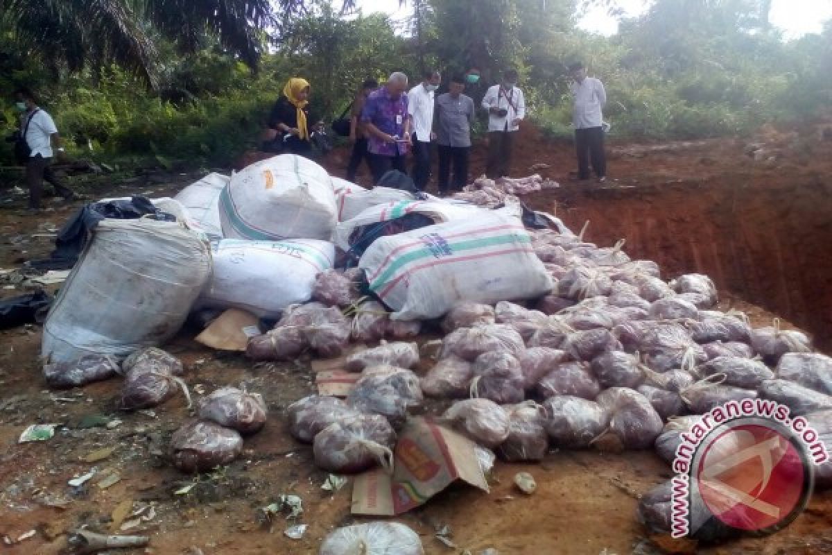 Empat ton daging babi ilegal di Jambi dimusnahkan