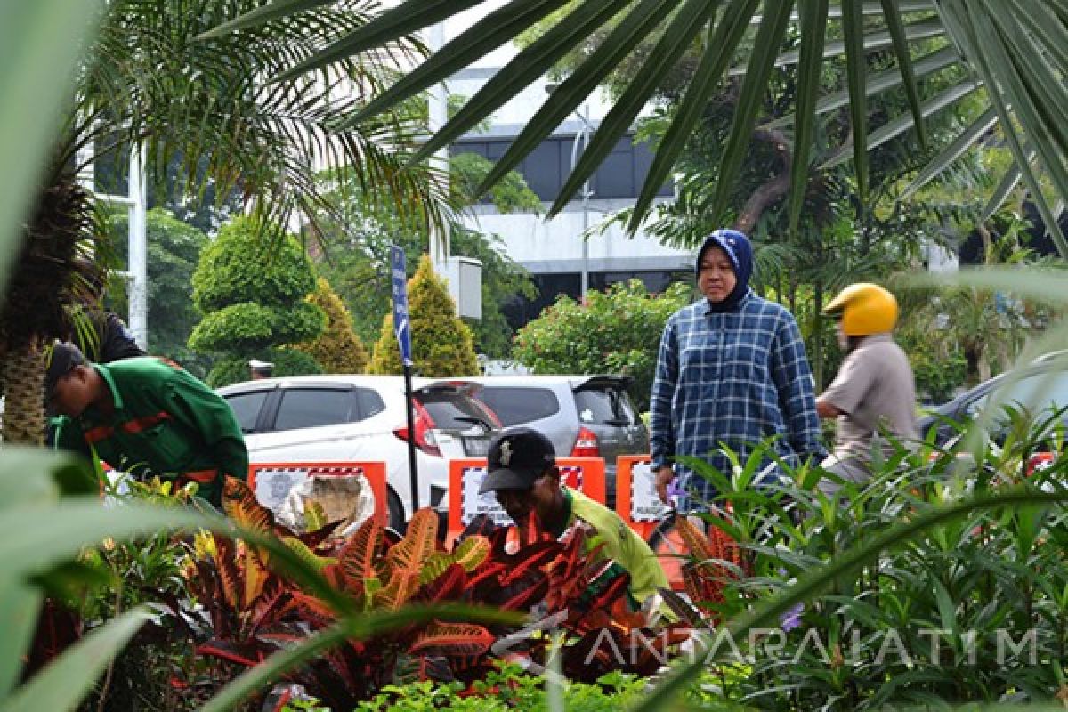 Keberhasilan Wali Kota Surabaya Tutup Dolly Jadi Contoh