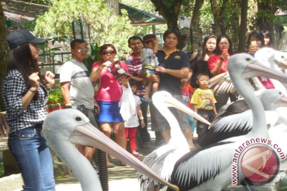 Raline Shah Kunjungi Taman Hewan Siantar