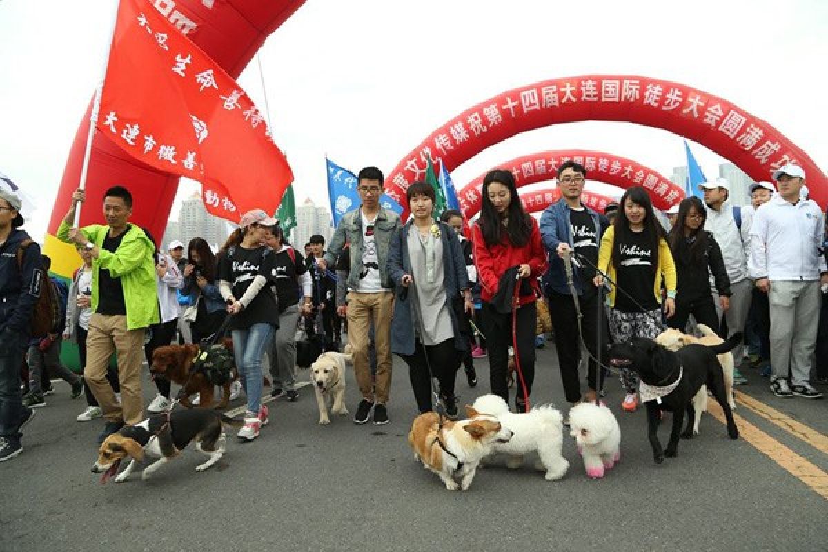 Festival daging anjing di China tetap dilaksanakan