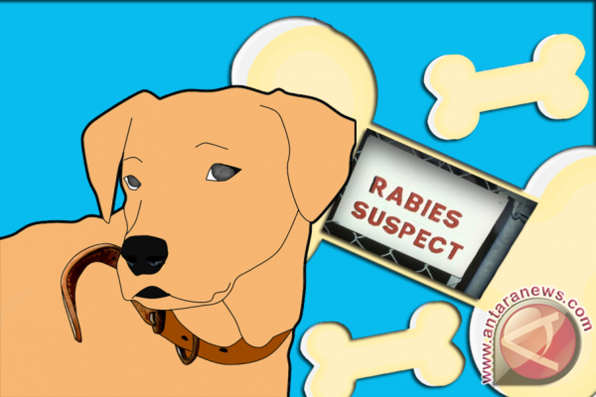 Kemenkes Ingatkan Pemda Tetap Lakukan Pencegahan Rabies  