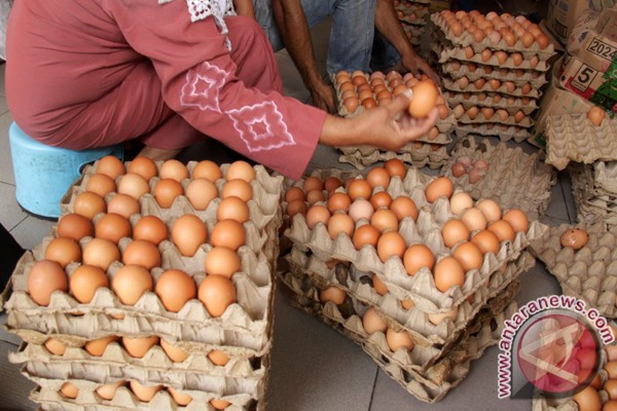 Harga telur ayam bergerak naik di pasaran