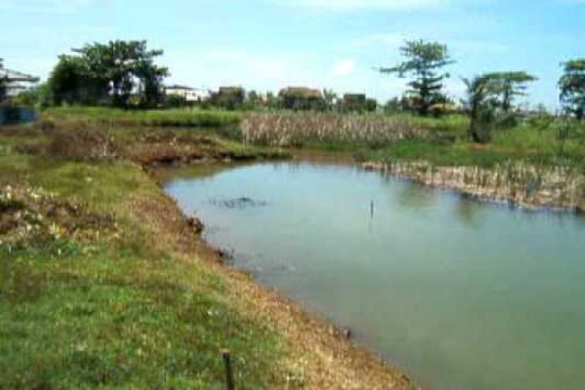 DTPH imbau petani padi manfaatkan air payau 