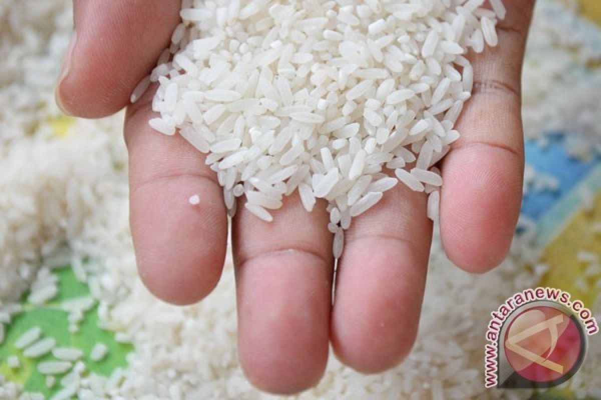 TNI serahkan 1,2 ton beras kepada Bulog