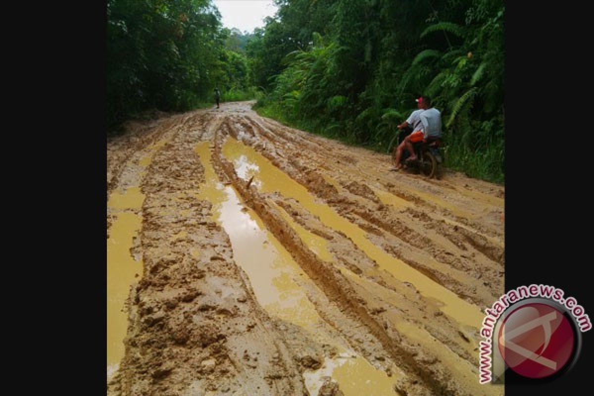 Jalan Perbatasan Kalimantan Barat Rusak Berat 