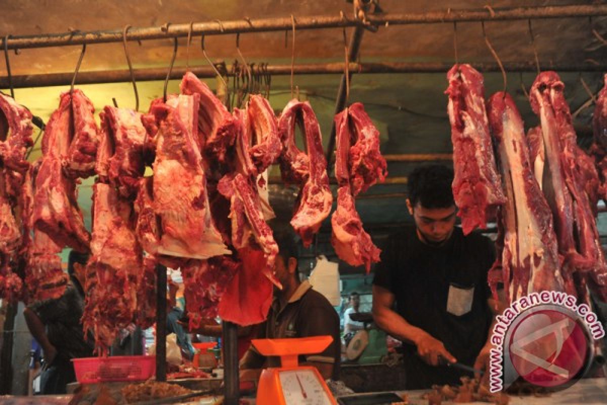 Harga daging sapi di pangkalpinang naik