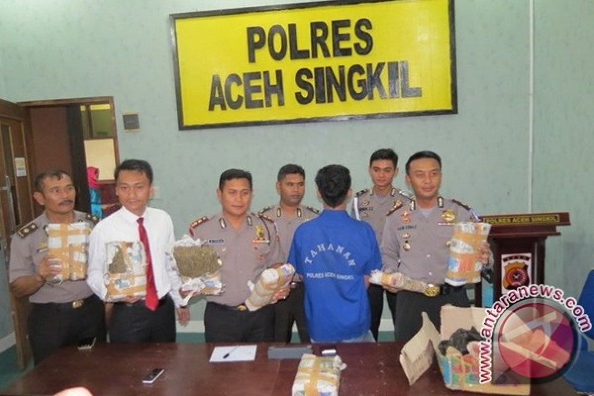 Polisi Singkil tangkap remaja bawa ganja