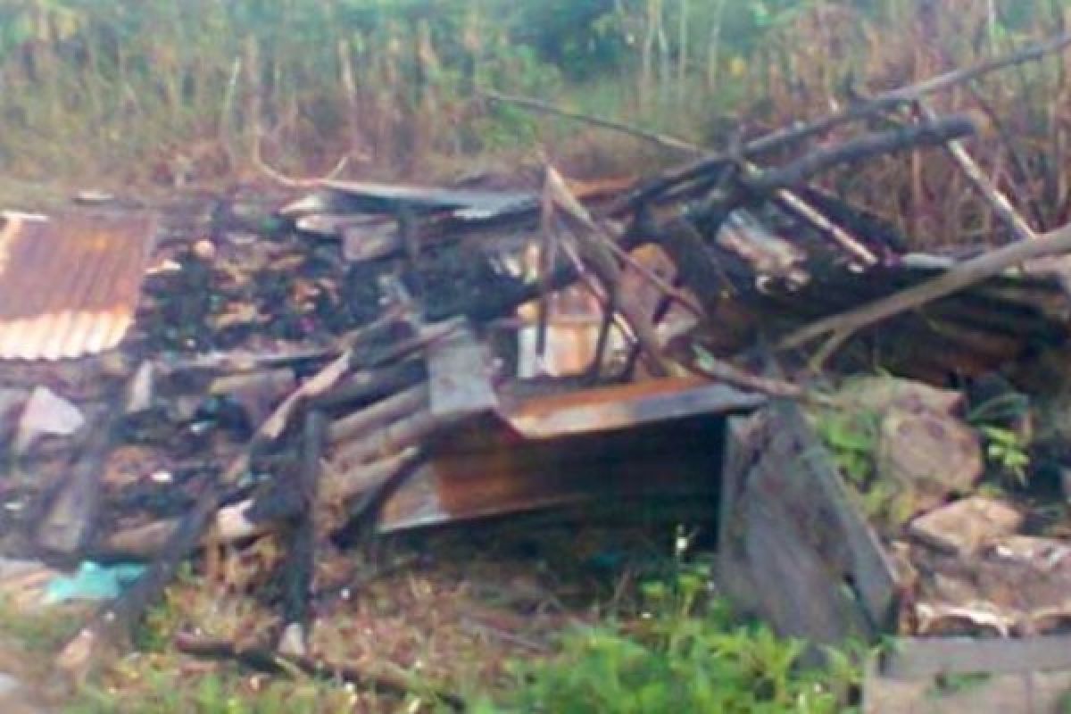 Bersengketa, Lahan dan Tanaman Warga Rohil ini Dibakar dan Dirusak
