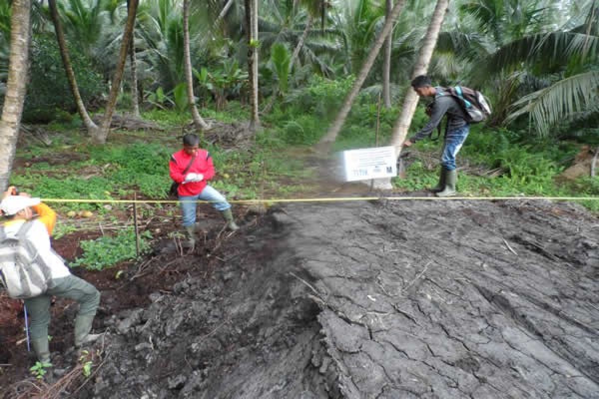 500 hektare kebun kelapa petani Inhil bakal diremajakan