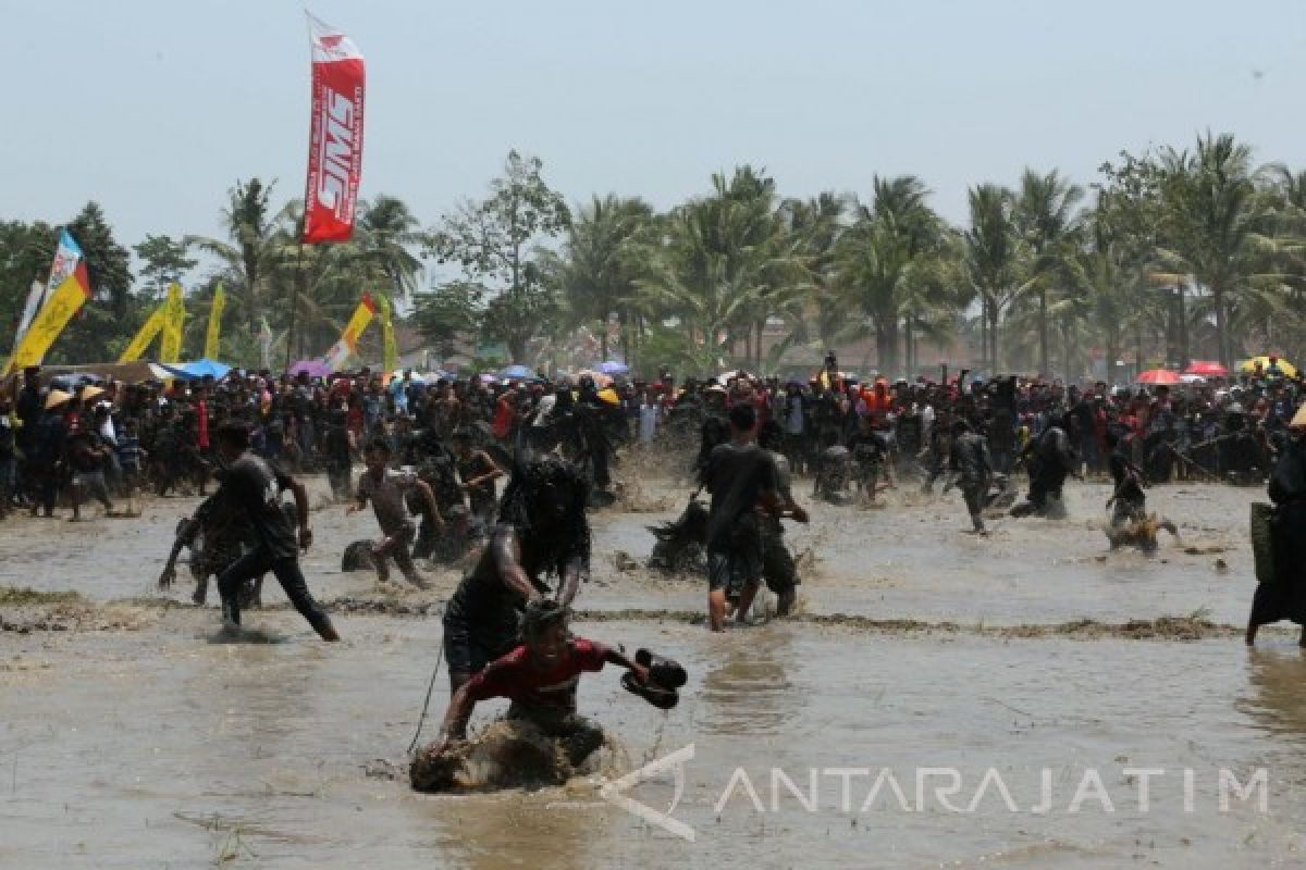 Bupati Banyuwangi: Pariwisata Tingkatkan Daya Saing Warga