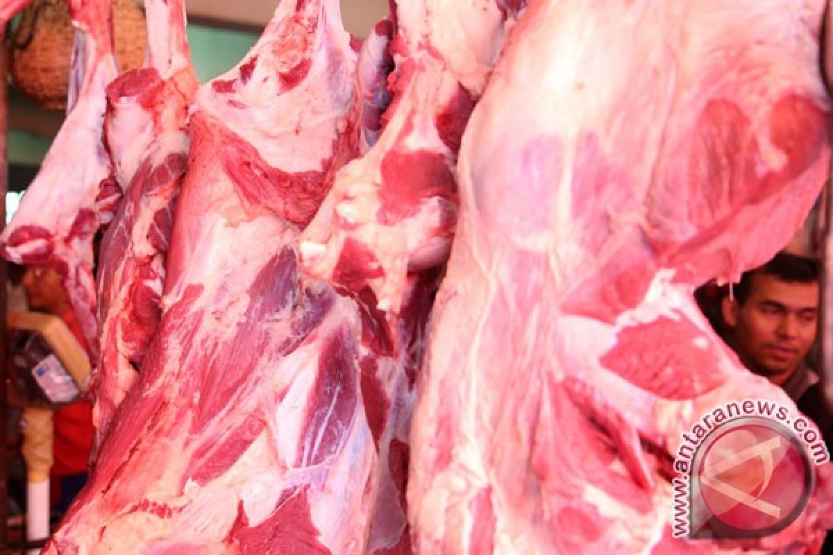 Mesir kembali impor daging dari Brasil