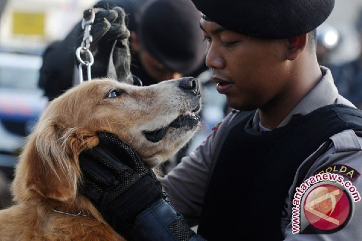 Daop Madiun Libatkan Anjing Pelacak Deteksi Teroris