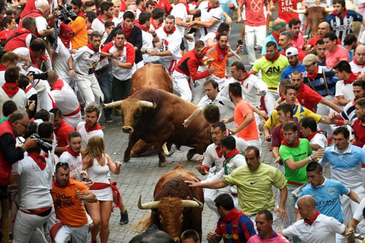 Ribuan orang protes adu banteng Spanyol