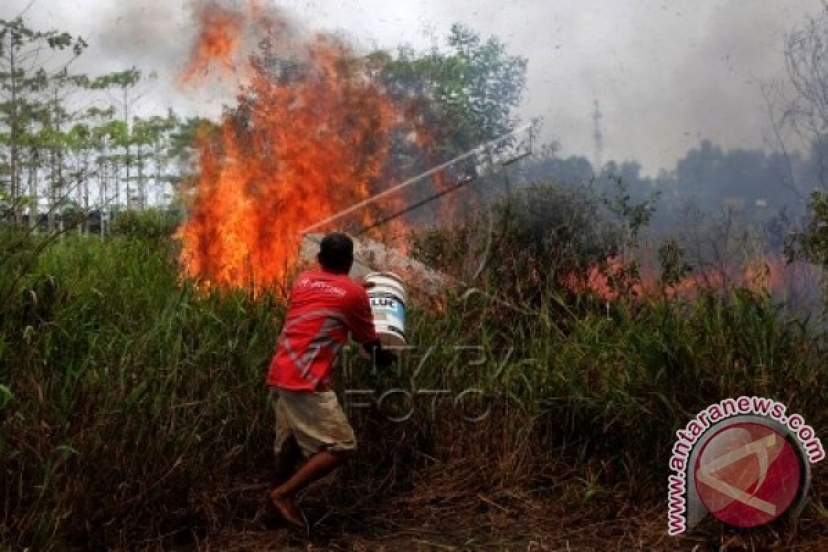 Satgas temukan empat titik api di lahan gambut