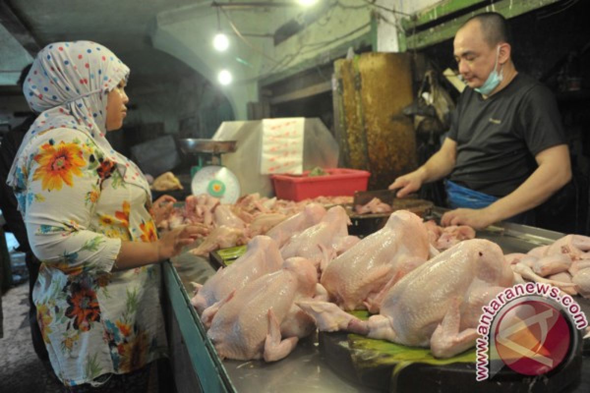 Pedagang daging ayam andalkan pasokan lokal